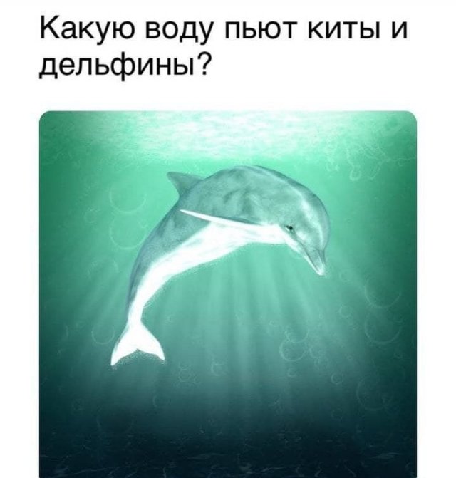 Смелые и забавные философские рассуждения от пользователей Сети Смелые и забавные философские рассуждения от пользователей Сети приколы,смешные картинки,юмор