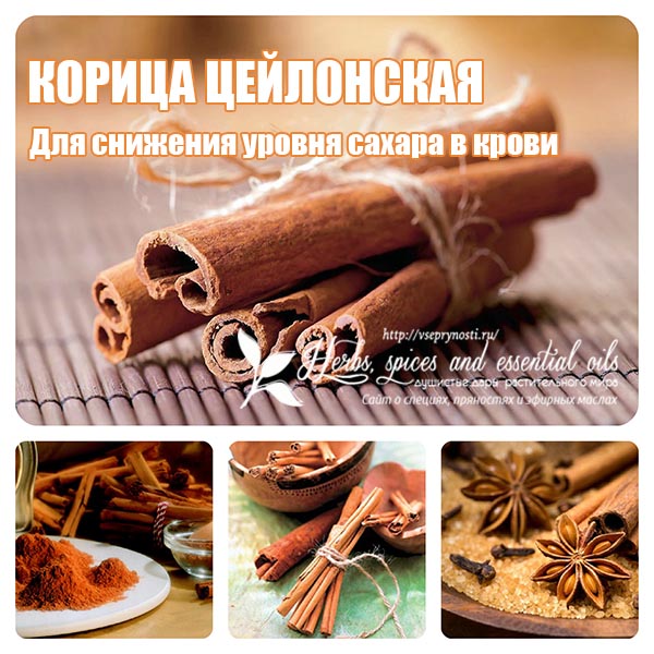 Палочка корицы для пирога