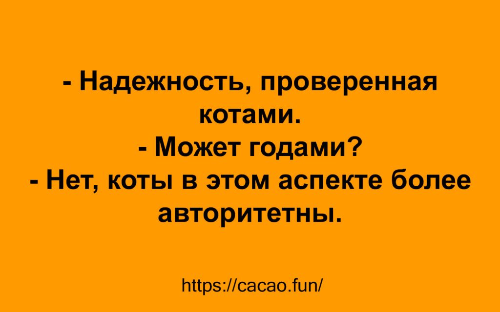 Подборка жизненных анекдотов: ноты юмора в серьезных ситуациях 