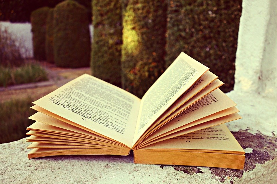 Картинки раскрытые книги