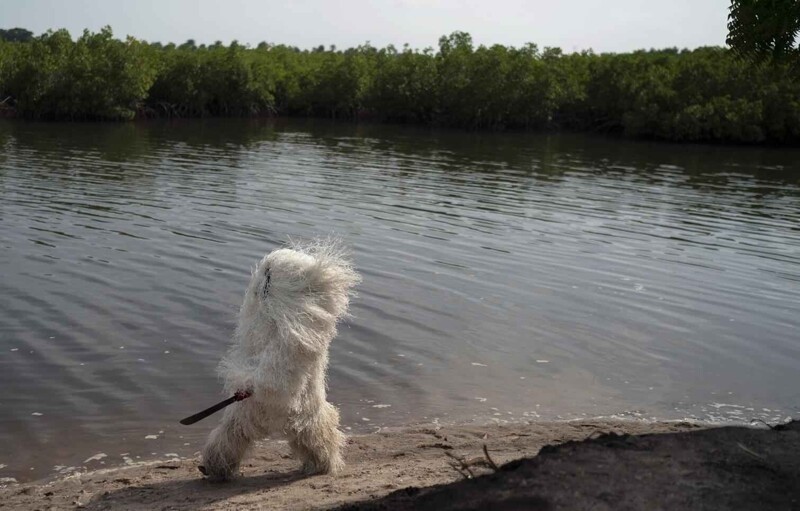 Канкуранг — диковинная африканская традиция 
