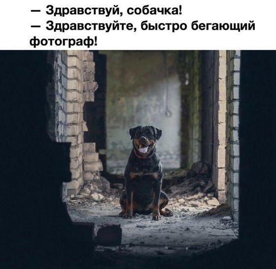 Супер забавные картинки Супер забавные картинки