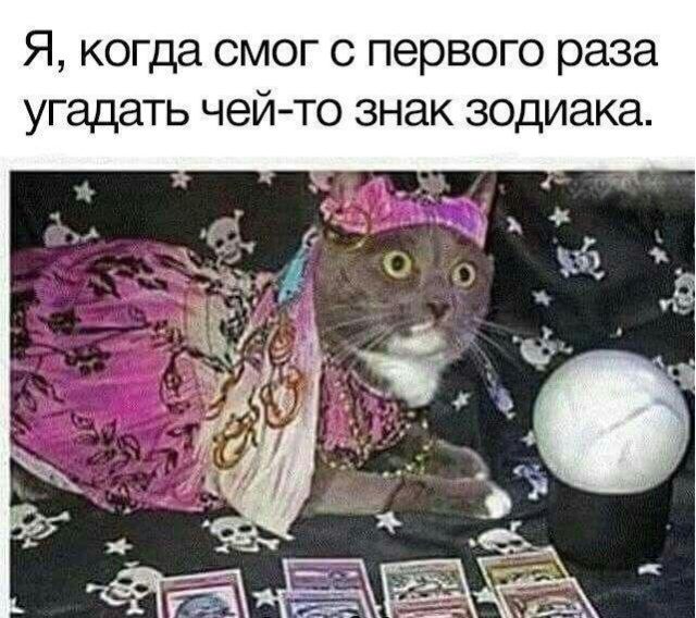 Весёлые моменты 