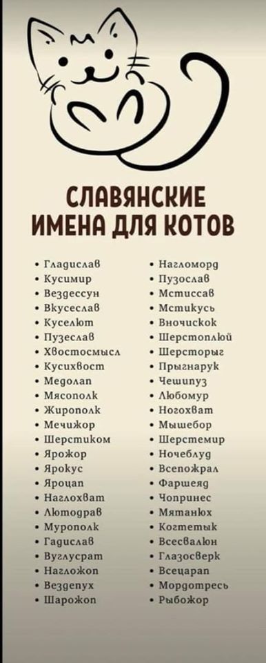 Семейное положение? – Командировочный! партии, почему, убедиться, лично, хочет, каждый, собралась, толпа, такая, Тогда, избирательном, ничего, абсолютно, происходит, здесь, Калашников , Михаил, переводят, России, Почему