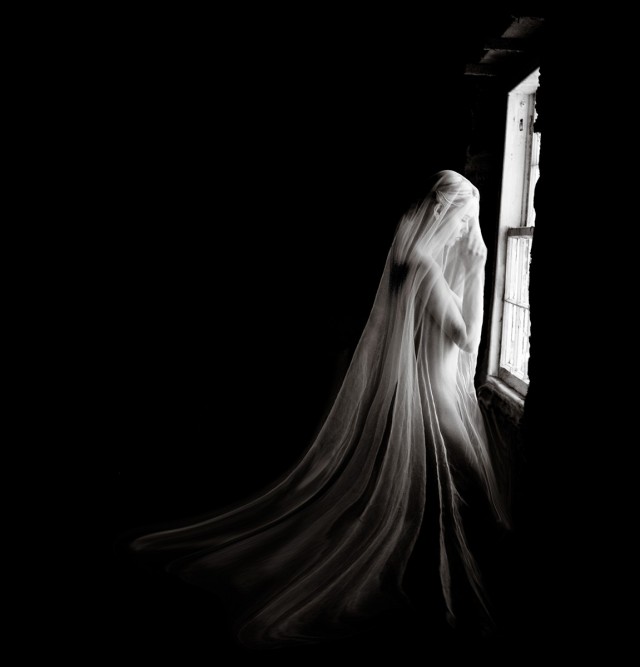Женщина в вуали у окна. Авторы Тревор и Фэй Йербери