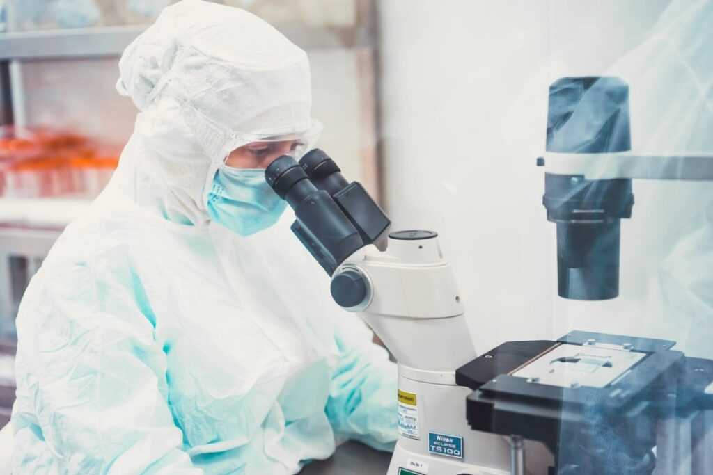 Вслед за Москвой оспу обезьян выявили в Петербурге