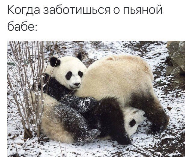 UUNYYVWBr2c