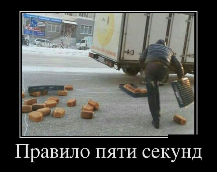 Подборка демотиваторов на сегодня 