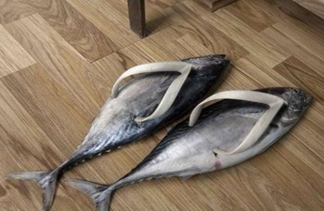 Очень странные и несуразные дизайнерские решения (15 фото)