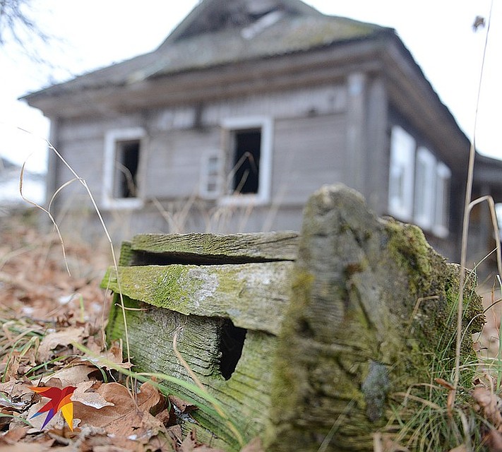 Заброшенный дом в мертвой деревне Халютино, Тверская область. Фото: Дмитрий СТЕШИН