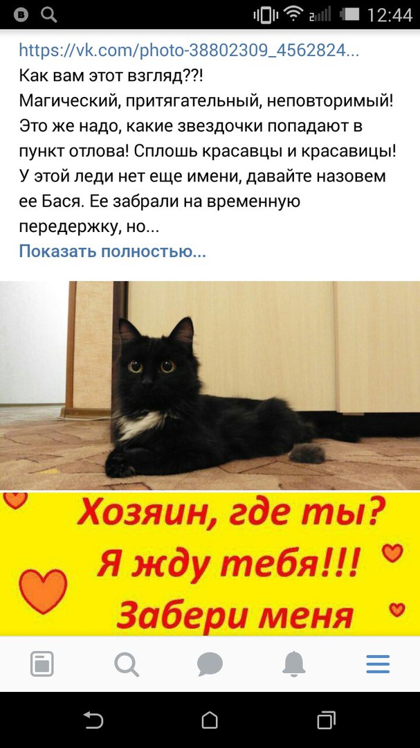 На крыльце сидел маленький комочек и, задрав мордочку, пел этому миру, как он одинок... На крыльце сидел маленький комочек и, задрав мордочку, пел этому миру, как он одинок...