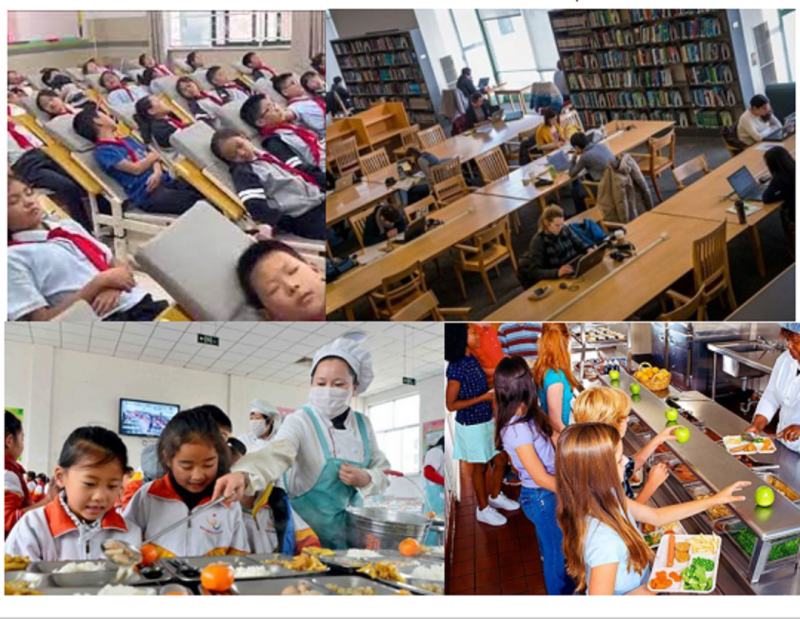 Против «умирающей России». Идеология и воспитание Против «умирающей России». Идеология и воспитание