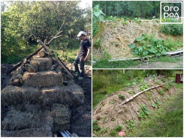 Грядка, которая может заменить парник огород