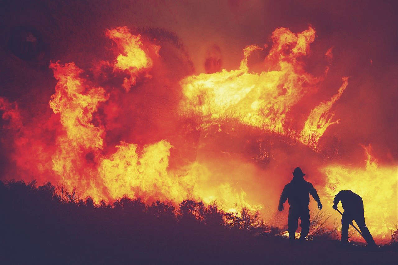 Красноярский губернатор Усс сообщил о 1200 пострадавших от природных пожаров Происшествия
