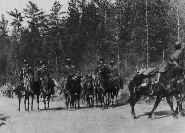 «Знамя с волчьей головой» история