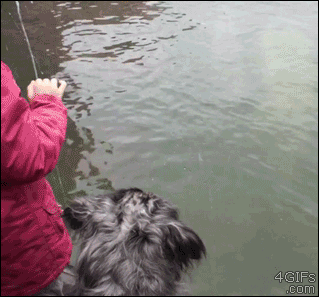 Веселые и забавные жизненные ситуации в гифках 