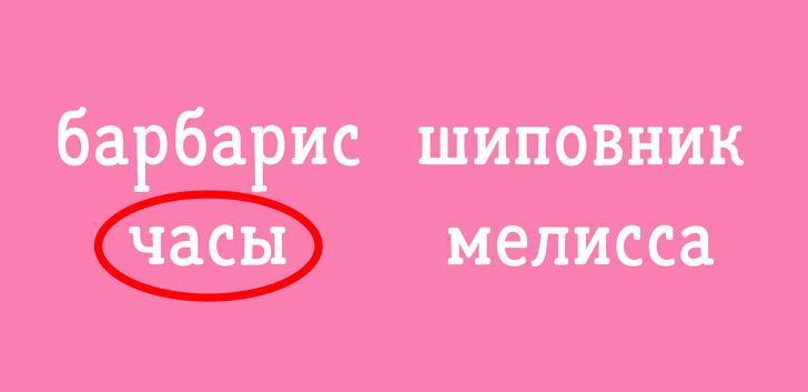 Тест из 12 анаграмм, который проверит ваше логическое мышление