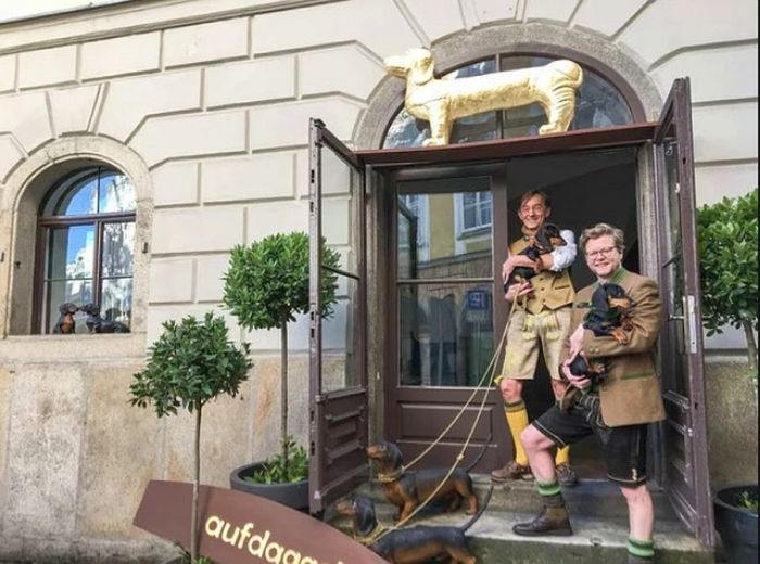 Без таксы за таксу: Музей в Германии, где собаку породы такса встретят лучше, чем её хозяина Бавария