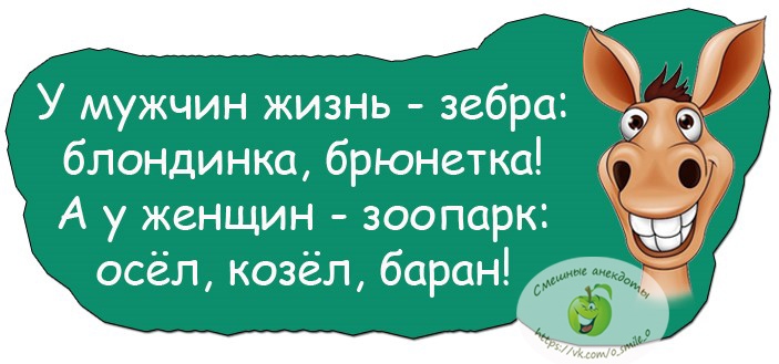 Жизнь как зоопарк. У мужчин жизнь Зебра блондинка брюнетка а у женщин зоопарк осёл козёл. У мужчин жизнь Зебра блондинка брюнетка а у женщин зоопарк. У мужчин жизнь Зебра блондинка брюнетка. У мужчин жизнь Зебра блондинка.