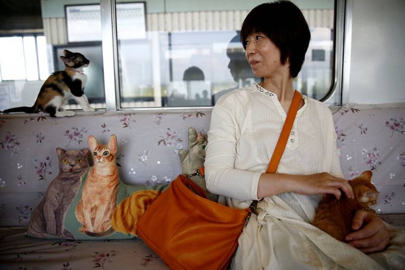 По Японии проехал поезд, в котором можно было поиграть с кошками во время поездки