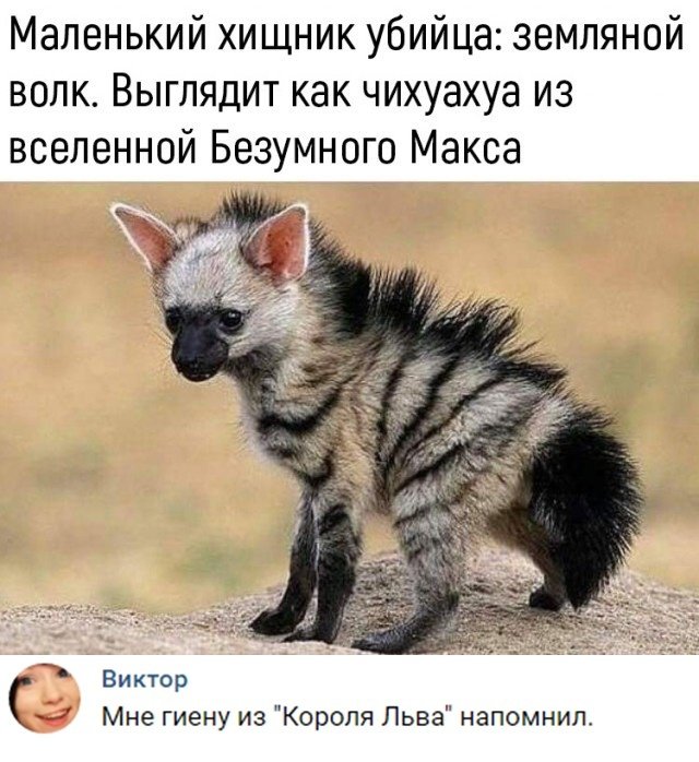 Фотоподборка понедельника  