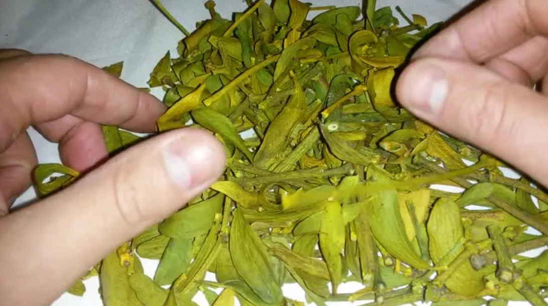 Забитые сосуды - тяжелая старость! Очищаем сосуды по народным рецептам