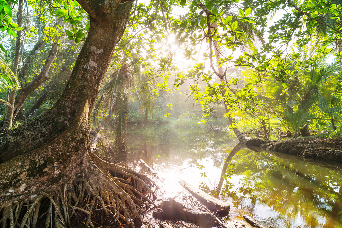 Как называется дополнительная смена. Доп смены как взять. Как называется дополнительная смена. Как называется дополнительная смена. Как называется дополнительная смена.