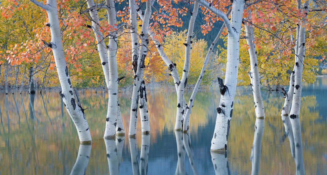 Конкурс Пейзажного фотограф года 2021 пейзажи,Путешествия,фото