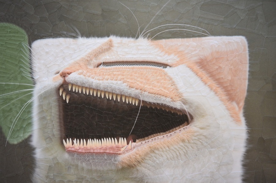 Странный Чарли и другие: новые коллажи Дюпре