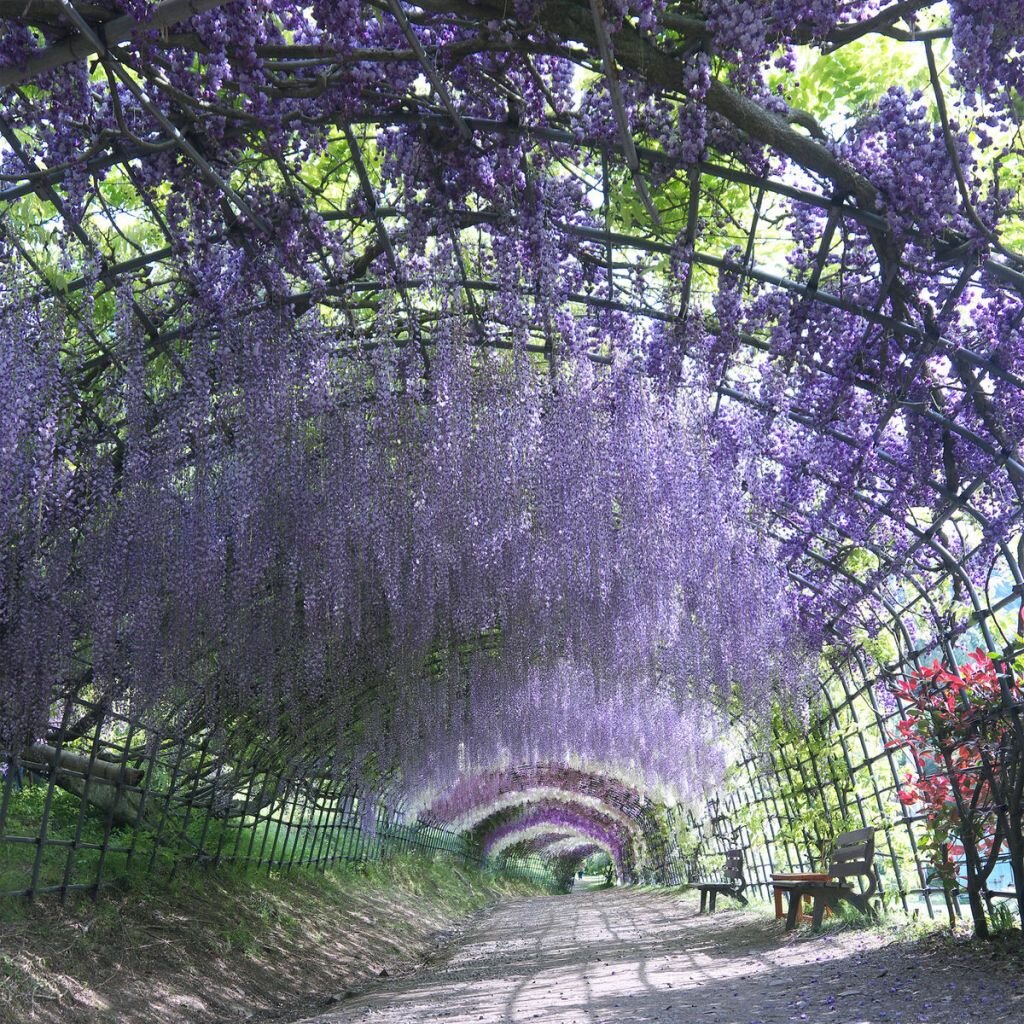 7 удивительных улиц из разных уголков земли весь мир,путешествия,улицы