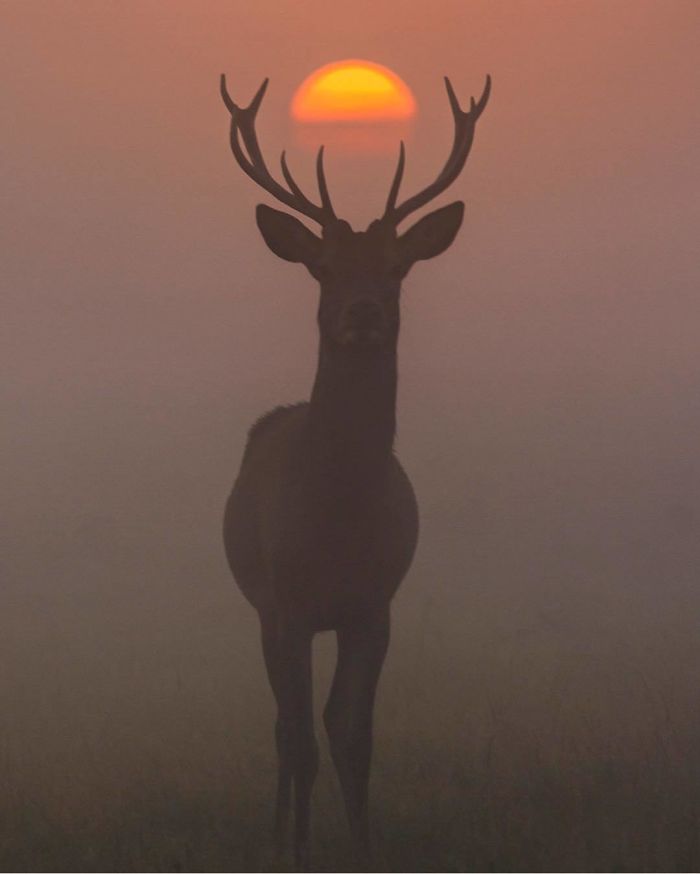 30 самых потрясающих фото, которые были опубликованы в National Geographic natgeo100contest