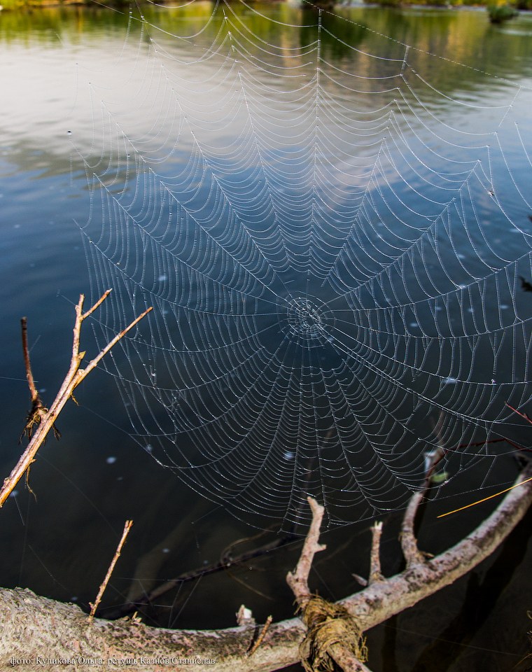 Пейзажи горного Алтая Индия,пейзажи,Путешествия,фото