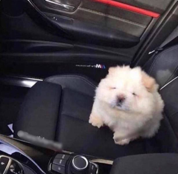 Подборка прикольных картинок  приколы,смешные картинки,юмор