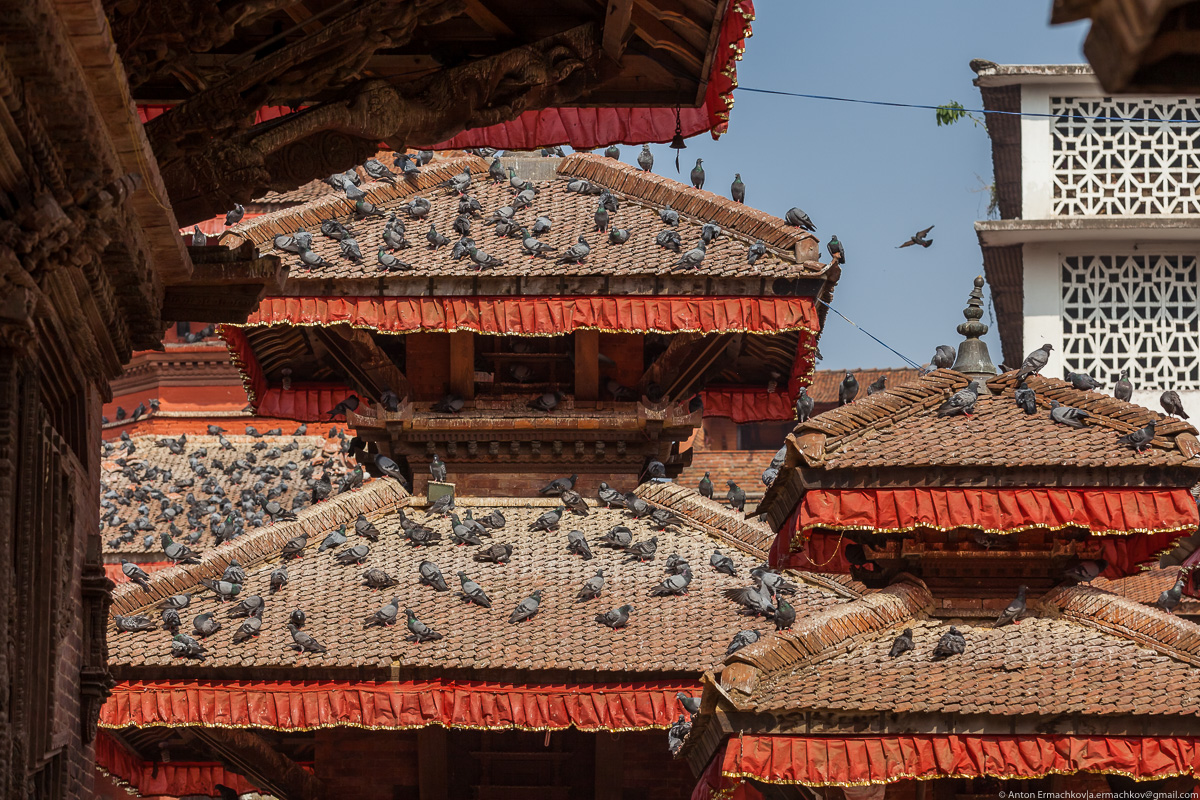 В поисках охотников за медом диких пчёл, Катманду  -  площадь Дурбар азия,Гималаи,заграница,отдых,турист