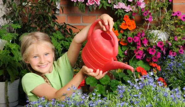 Солнце на балконе