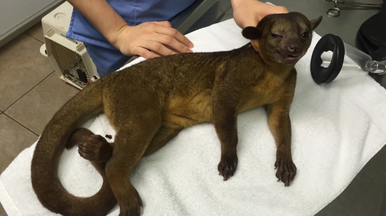 Безымянный