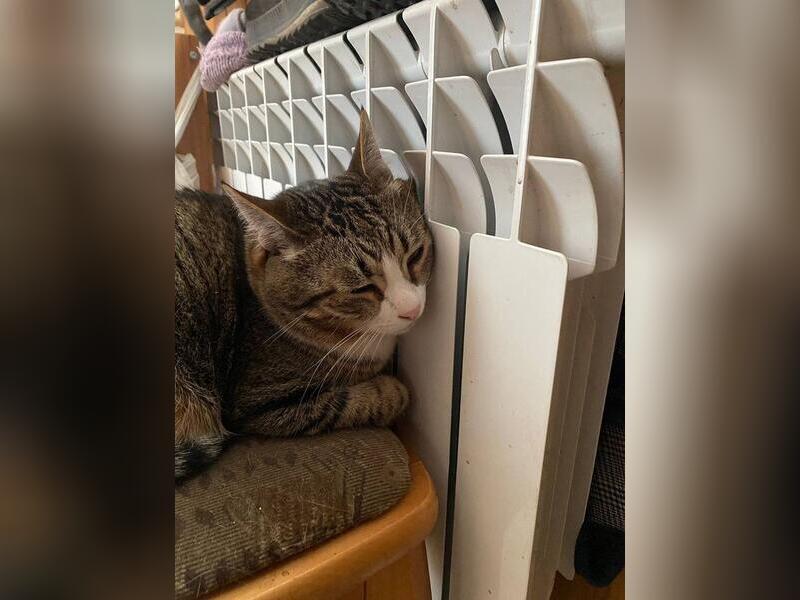 Прокуратура начала проверку из-за жалоб на отопление в Чите