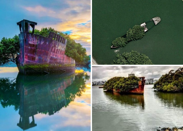 Вторя жизнь заброшенного корабля «Плавающий лес» привлекает туристов и фотографов, превратив его в идеальную модель (Австралия). | Фото: free-eyes.com.
