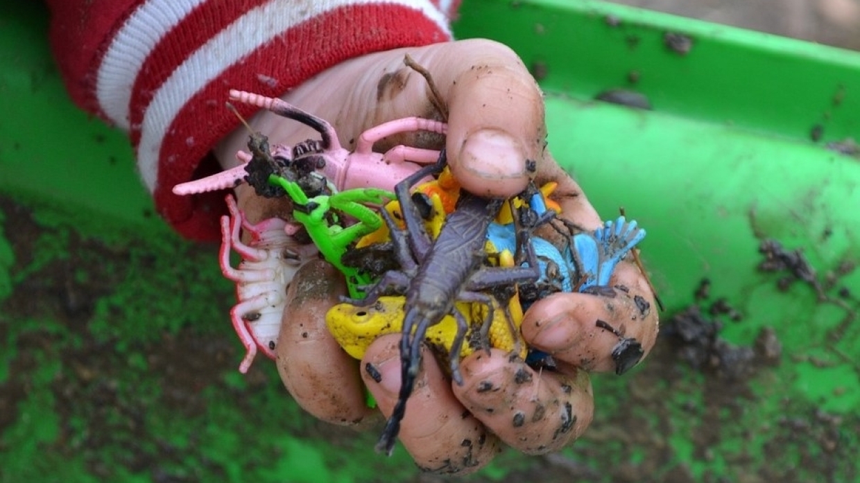 Психотерапевт объяснила суть заболевания как у дочери Лолиты Общество