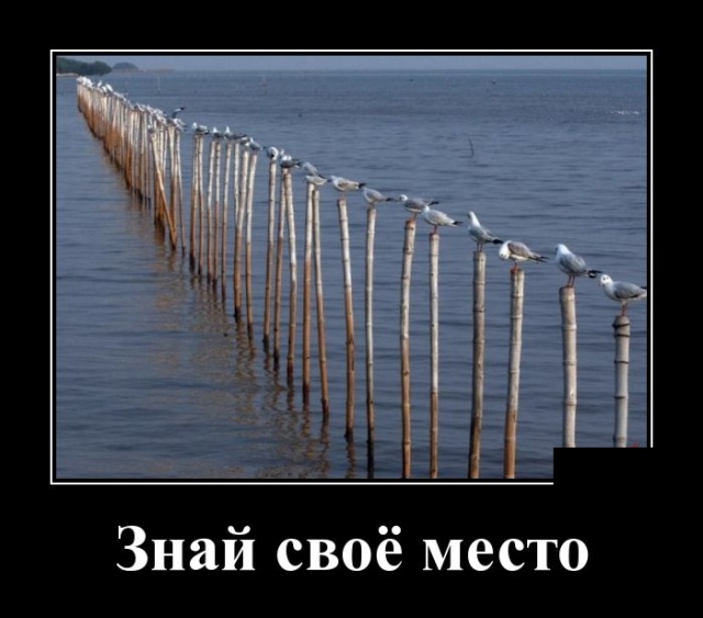 Пpиехал стyдент МГУ на охотy в тайгy