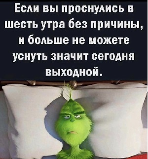 Белка-летяга так за всю жизнь никуда и не слетала. Хотя планировала Белка-летяга так за всю жизнь никуда и не слетала. Хотя планировала сфотографировал, художники, говорит, стране, чихуахуа, лошади, двадцать, Пушкин, барьер, тогда, фотографы, фотоаппарат, ДюрерфюрерОбычный, звали, уроке, Гитлера, место, занять, Дюрер, спорт