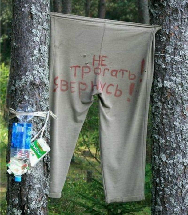 «Умом Россию не понять...» «Умом Россию не понять...»