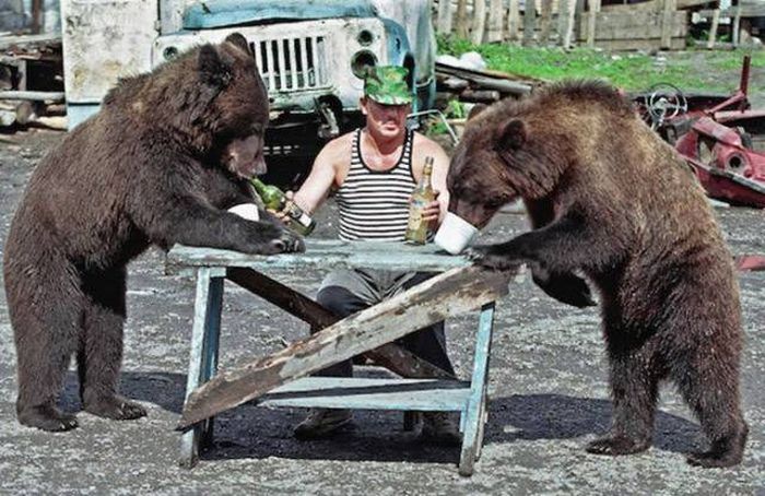 Подборка забавных картинок и веселых моментов из жизни (11 фото)