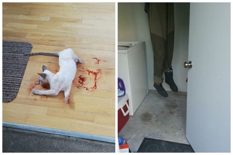 25 невинных вещей, которые чуть не вызвали у людей сердечный приступ - актуальные новости по теме Оптическая иллюзия на Toplenta