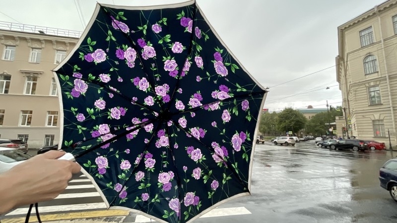 Дождливая и теплая погода ожидает россиян в некоторых регионах в выходные