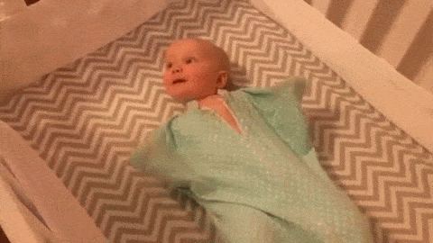 Интересные гифки 17 января 2022 года