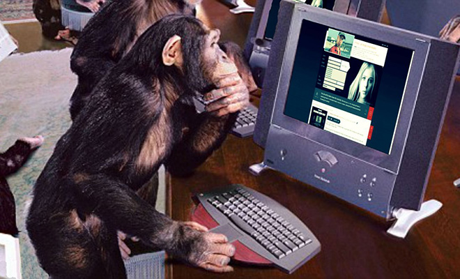 Обезьяны продолжают эволюционировать и ученые знают об этом уже 50 лет: видео, где шимпанзе работает за компьютером