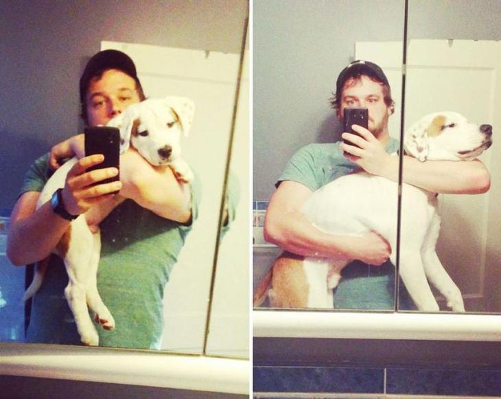 Щенки, которых время превратило в больших собак не всё так грустно