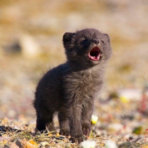 Красивые и завораживающие фотографии с картинками из сети красивые фотографии,прикольные картинки,шикарные фотографии
