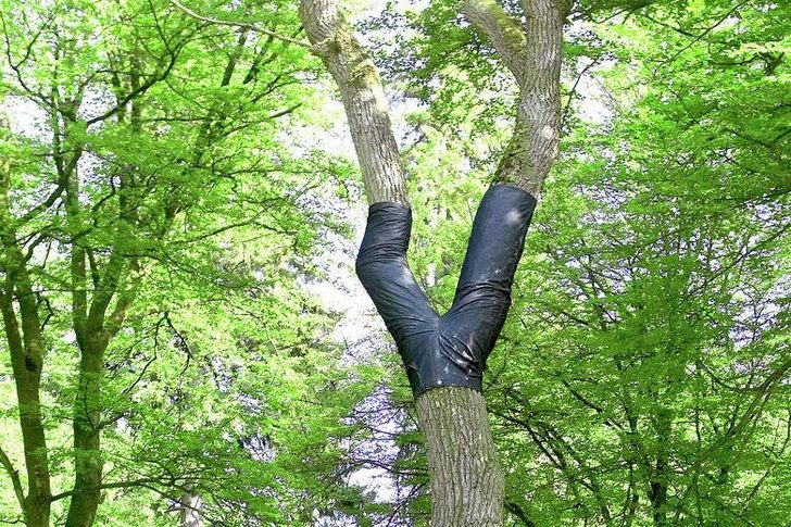 20 странных маразмов, которые трудно понять простым смертным 20 странных маразмов, которые трудно понять простым смертным